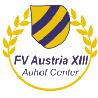 第一維也納1894業余